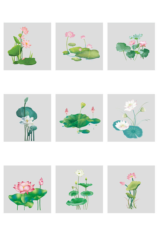 绿色荷花免抠素材