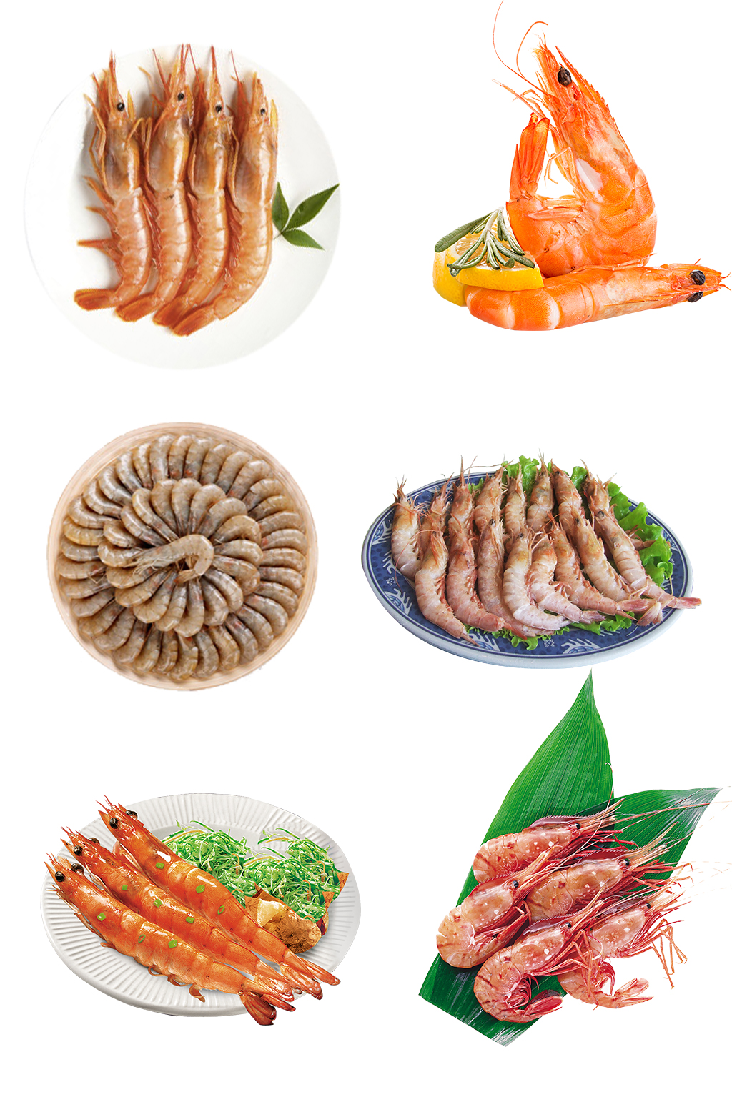 甜虾冰冻大虾图片素材