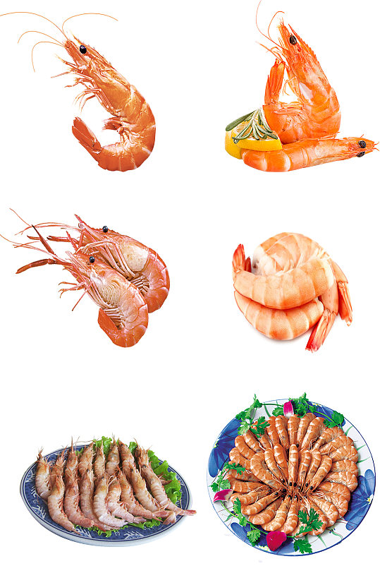 甜虾冻虾免抠素材