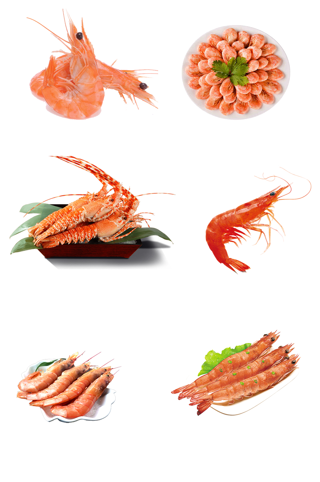 海鲜大虾免抠素材素材