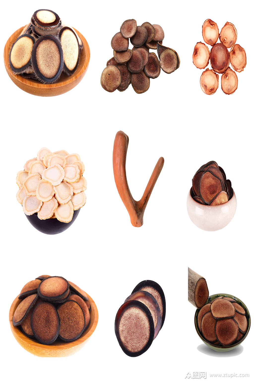 鹿茸新鲜中药养生中草药元素素材