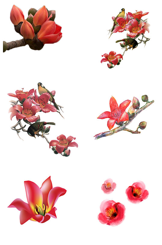 木棉花手绘图片 木棉花手绘素材下载 众图网