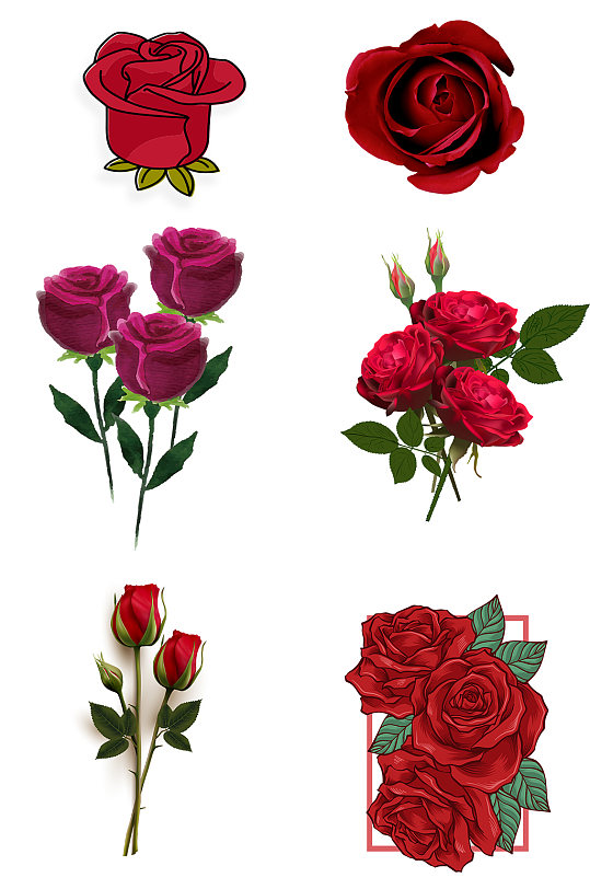 玫瑰花免抠png透明图片素材免抠元素各式玫瑰花免抠素材红色粉红色