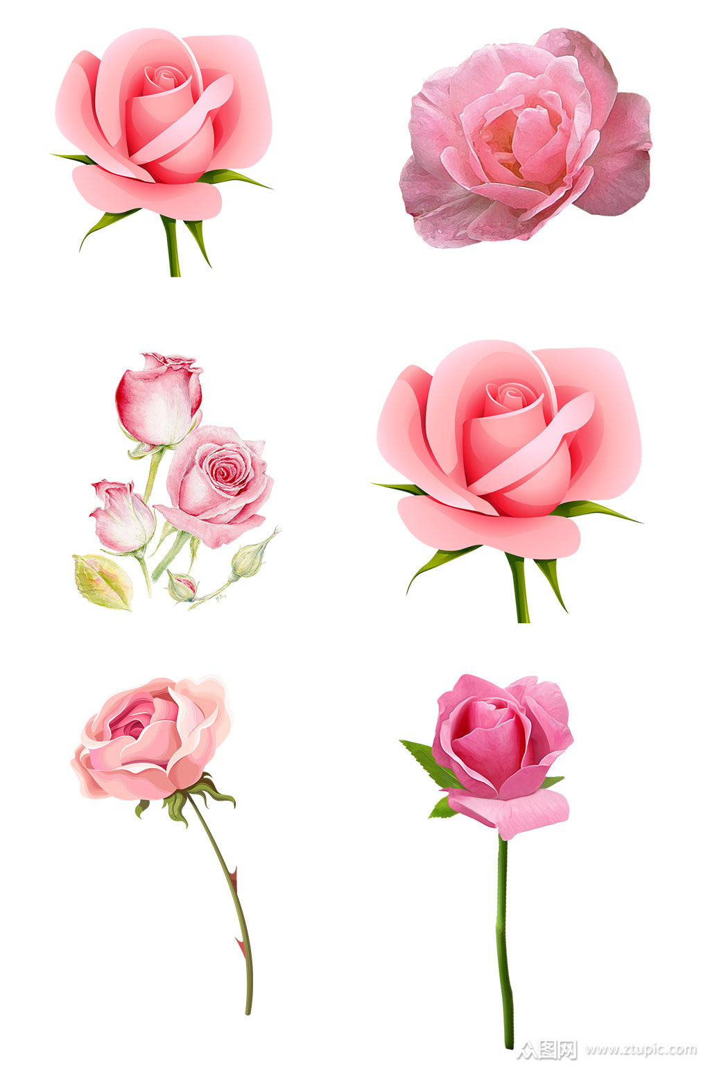 粉色玫瑰花免抠素材