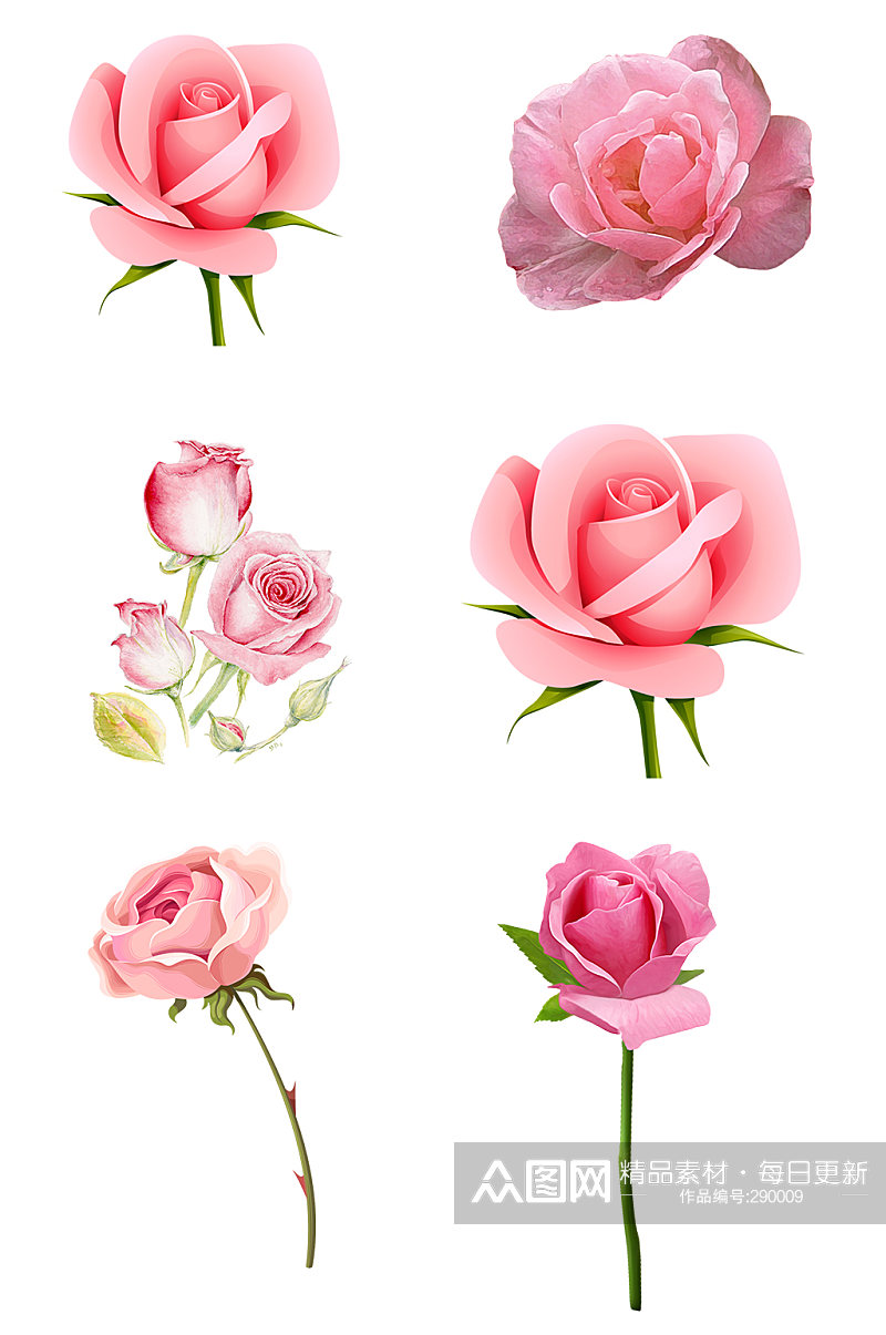粉色玫瑰花免抠素材素材