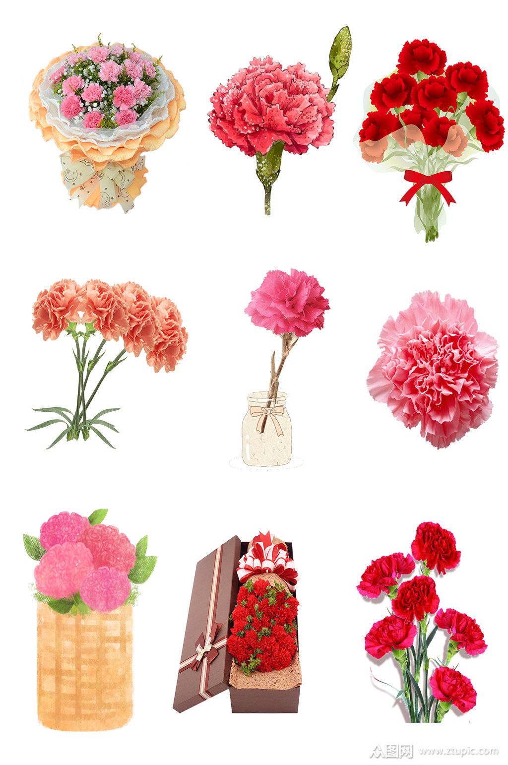 花朵康乃馨新鲜鲜艳 母亲节素材元素模板下载-编号289997-众图网