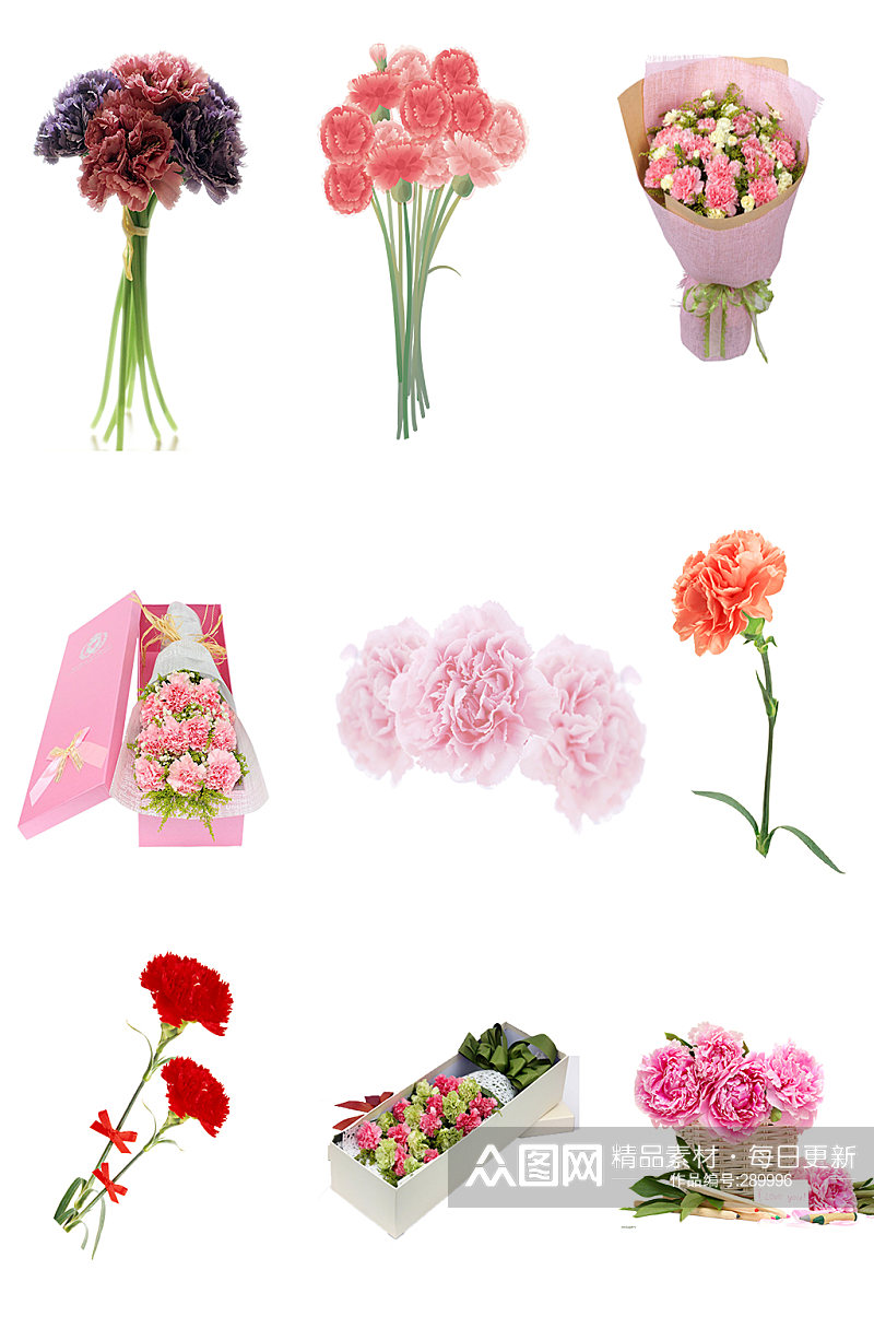 花朵康乃馨新鲜鲜艳 母亲节素材元素素材