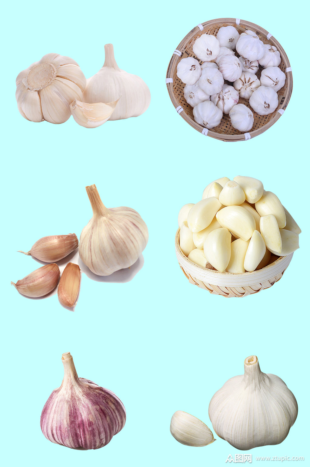 大蒜调料免扣素材