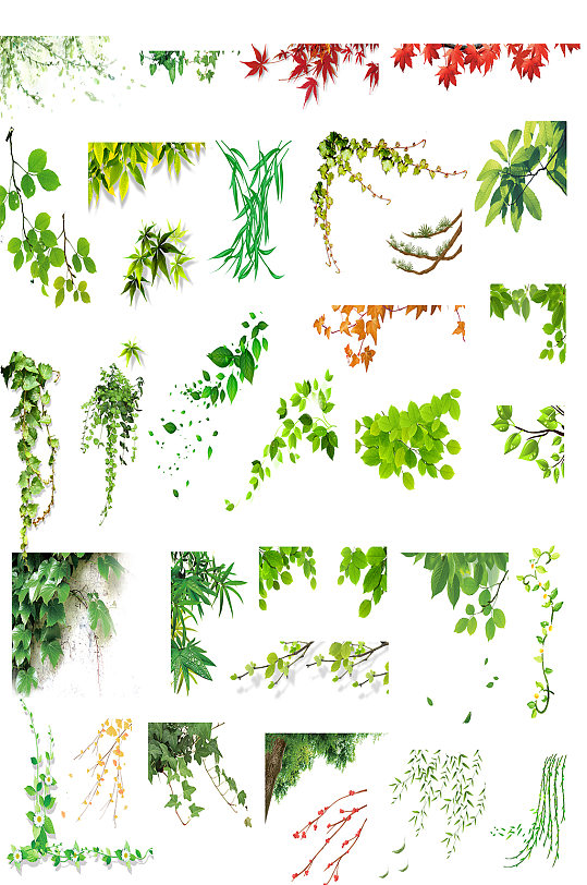 绿色植物树叶素材