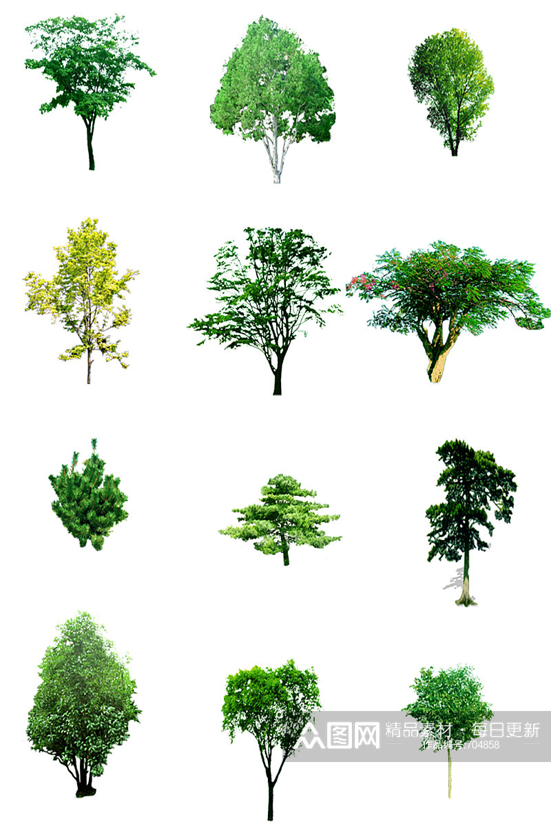 绿色树木植物素材素材