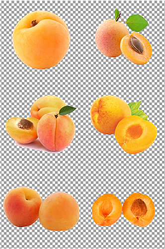 杏子水果免扣素材