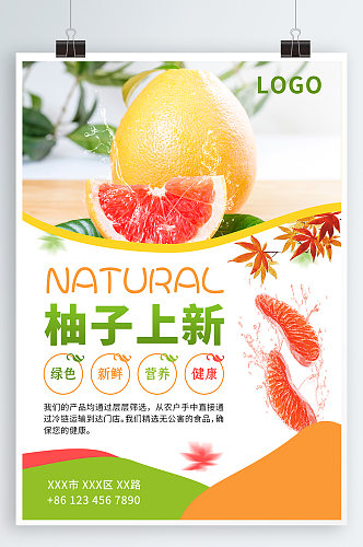 柚子水果宣传海报