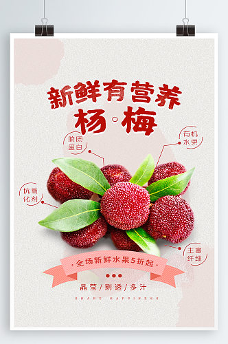 杨梅水果宣传海报