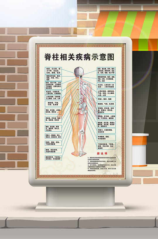 脊柱相关疾病示意图
