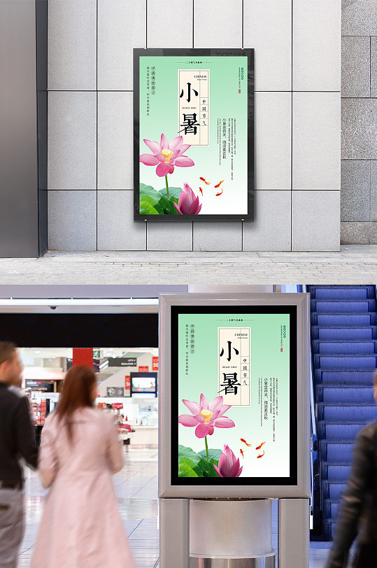 中国节气小暑荷花