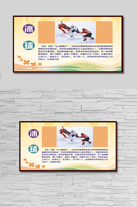 体育运动项目冰球