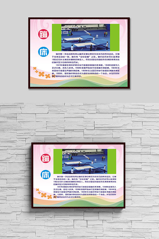 體育運動項目蹦床