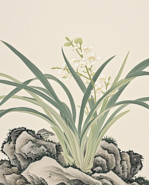 国画兰花一枝不要兰花花朵只需要兰花素材下载-众图网