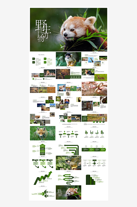 卡通儿童保护野生动物宣传主题班会课件-众图网