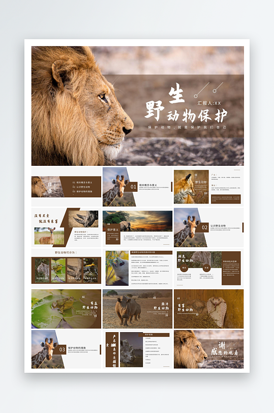 卡通儿童保护野生动物宣传主题班会课件-众图网