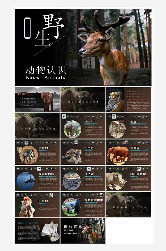 卡通儿童保护野生动物宣传主题班会课件-众图网