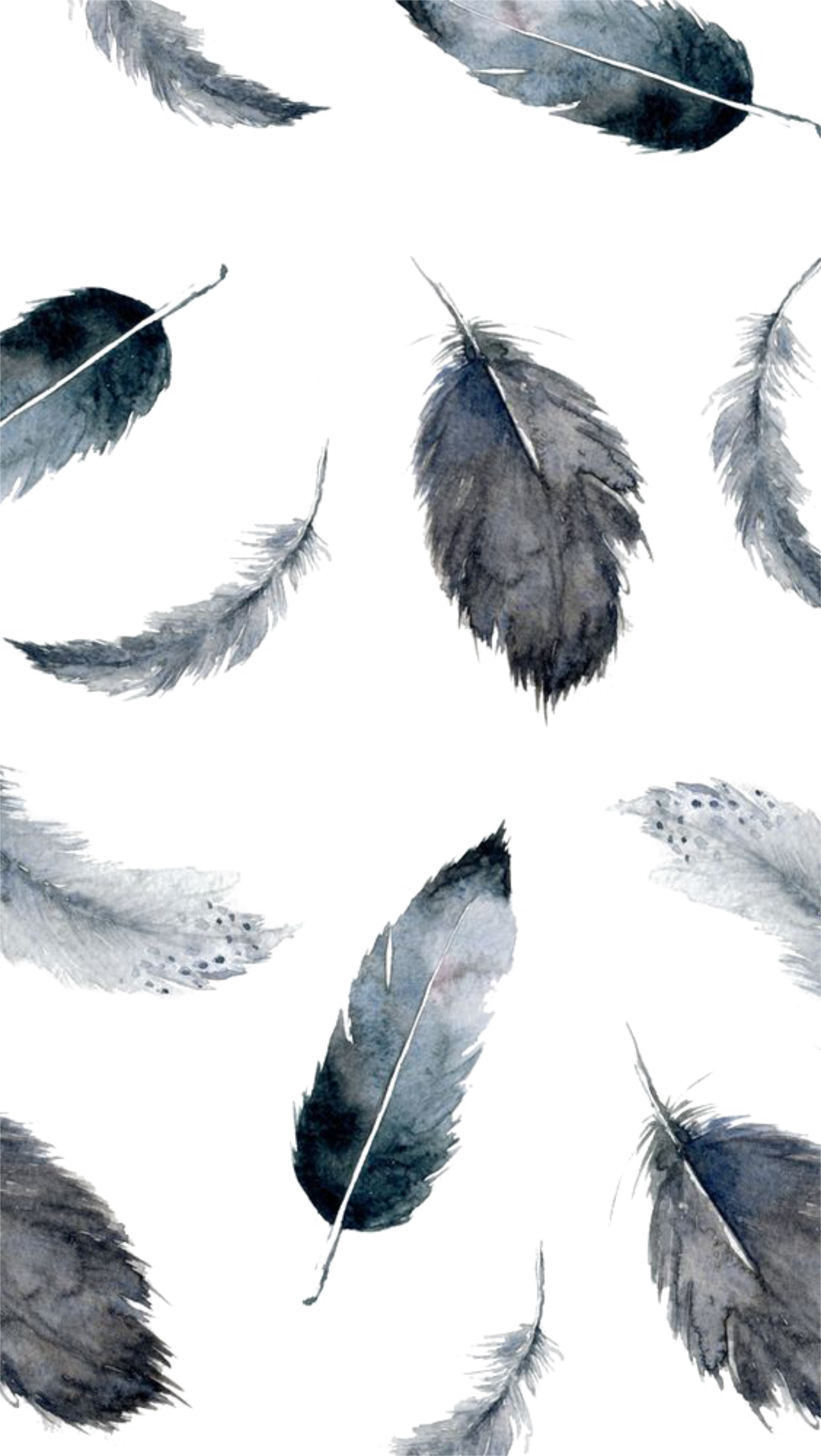 水彩羽毛免抠png素材素材