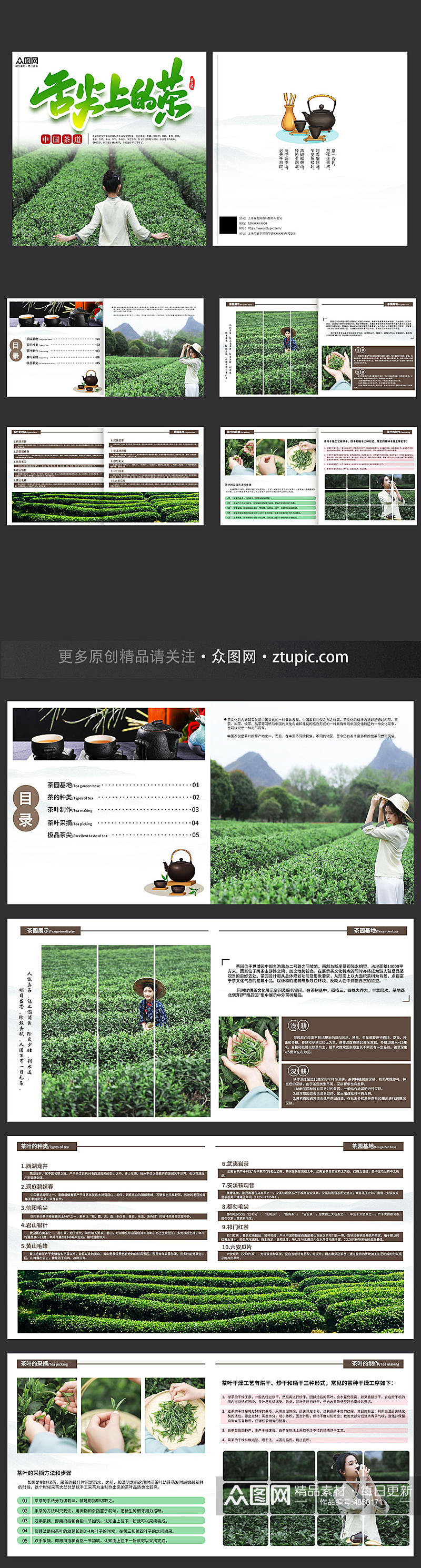 茶园采茶项目茶叶茶文化宣传画册素材