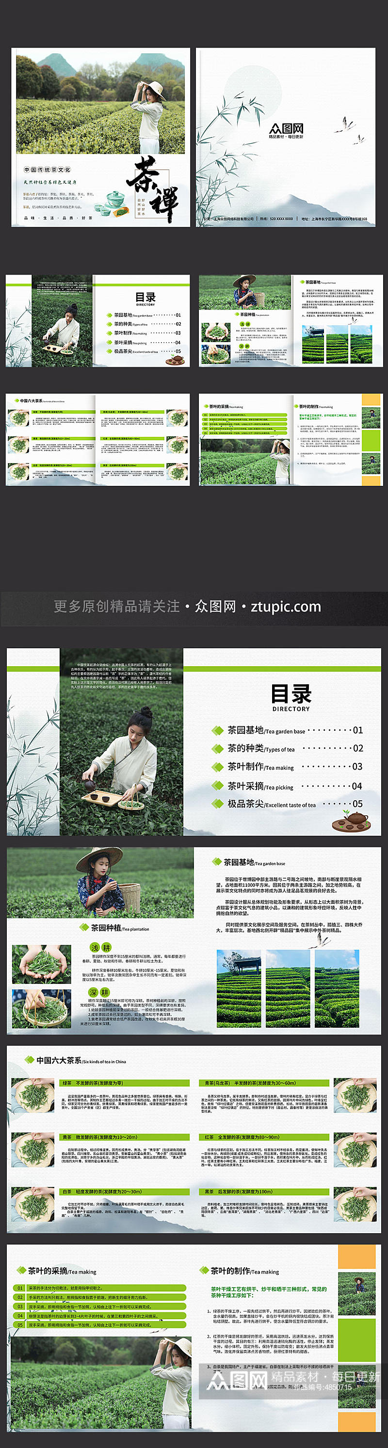 创意茶园采茶项目茶叶茶文化宣传画册素材