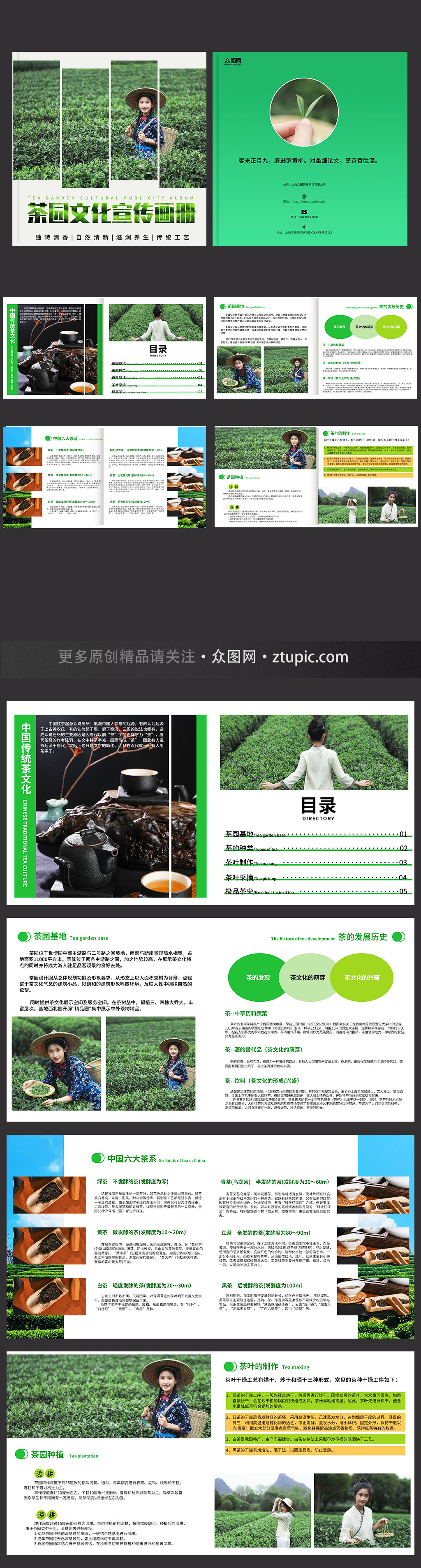 創(chuàng)意茶園采茶項(xiàng)目茶葉茶文化宣傳畫冊(cè)素材