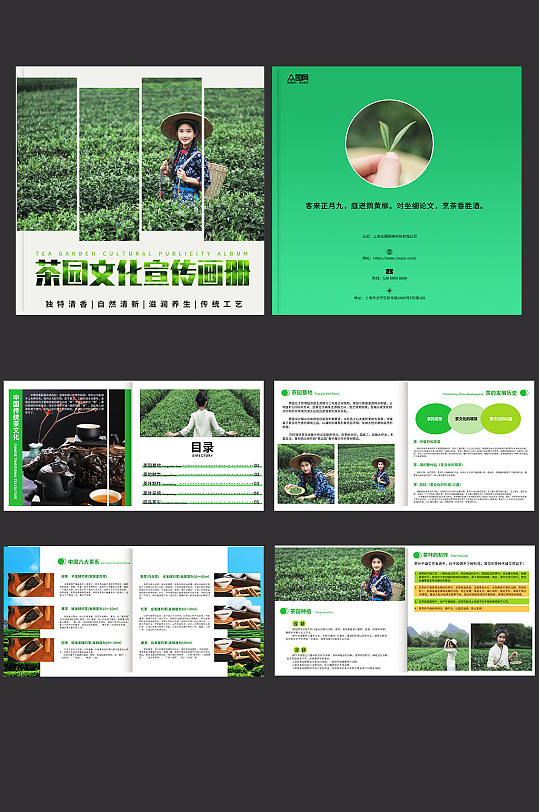创意茶园采茶项目茶叶茶文化宣传画册