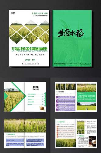 绿色水稻绿色农产品农业种植画册