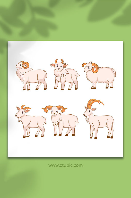 山羊绵羊羊类合集元素插画
