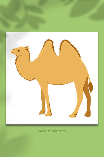 沙漠之舟骆驼保护动物元素插画