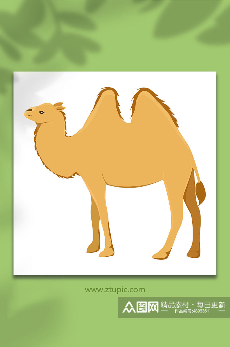 沙漠之舟骆驼保护动物元素插画素材