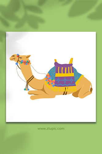 保护动物沙漠骆驼元素插画