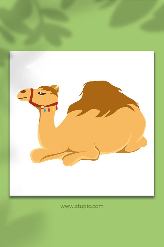 沙漠骆驼野生动物元素插画