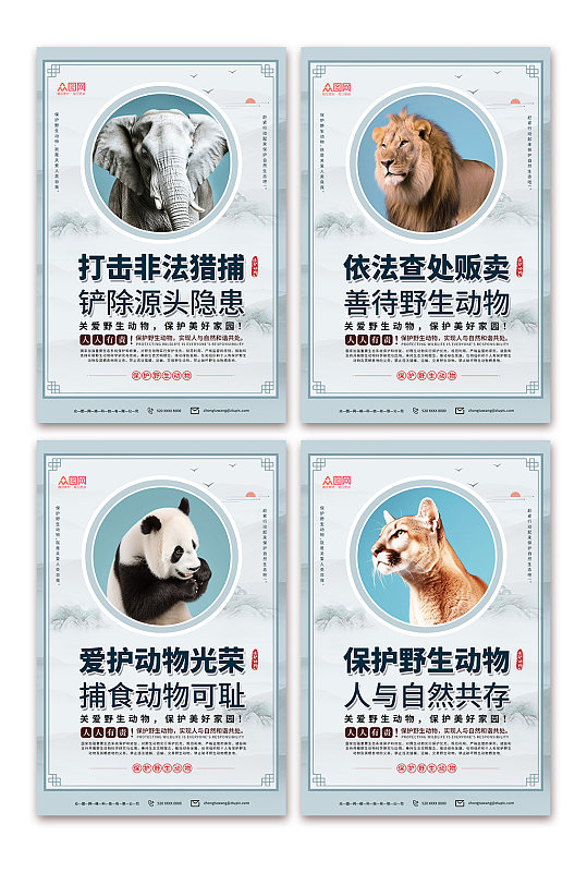 保护野生动物系列展板海报