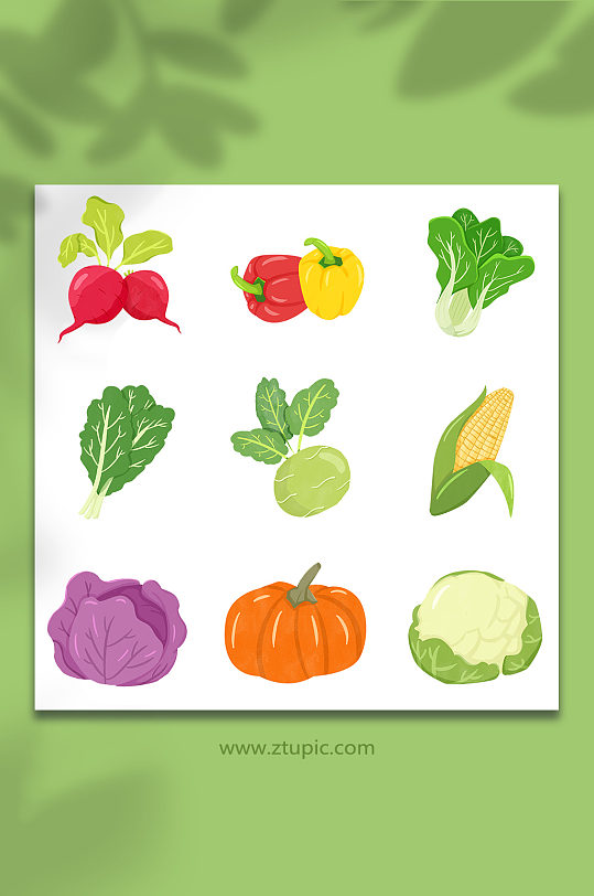 手绘卡通各类蔬菜元素插画