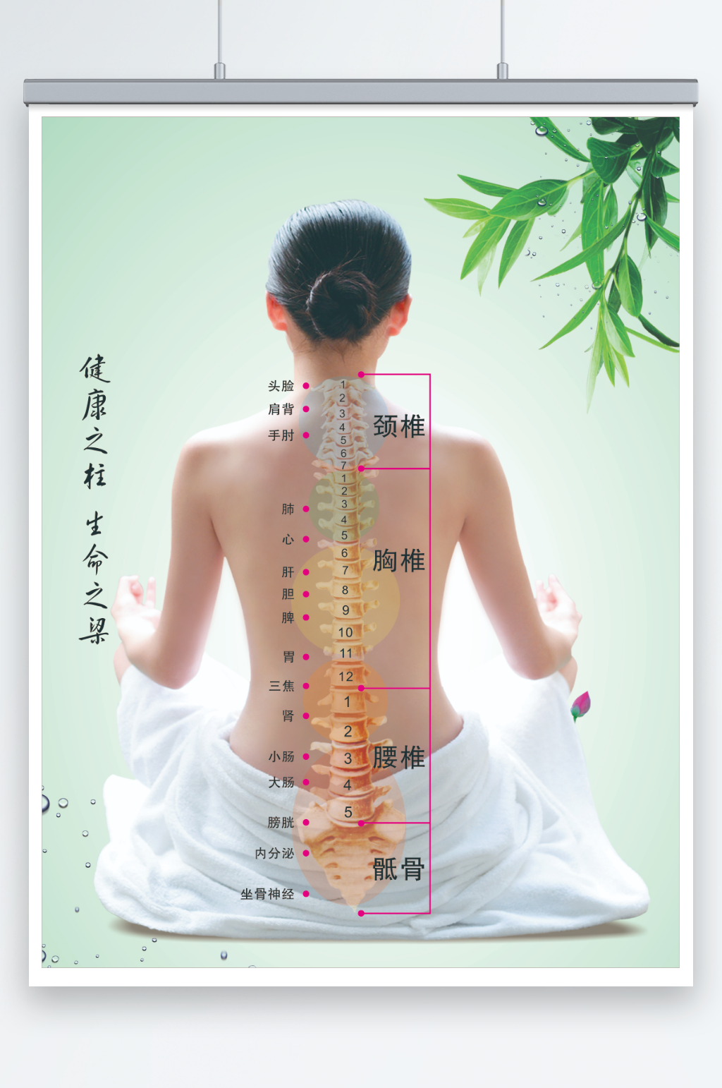 养生健康之柱图片素材
