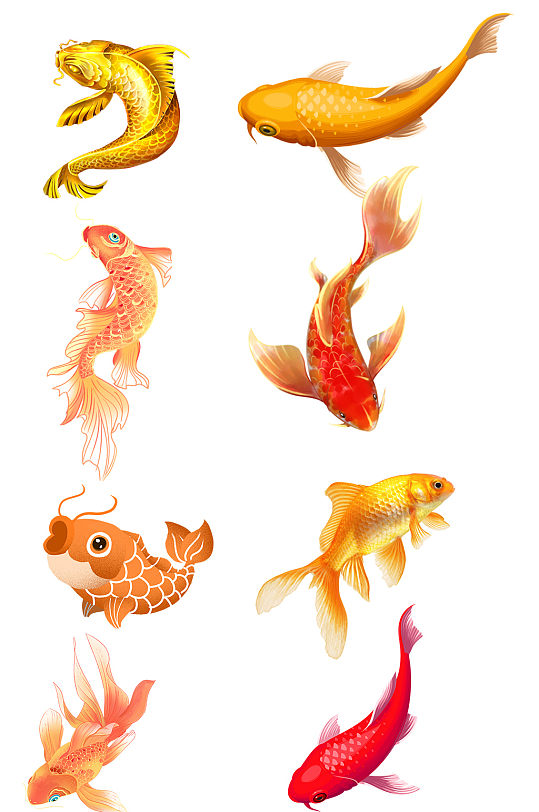 免扣鲤鱼锦鲤png-众图网