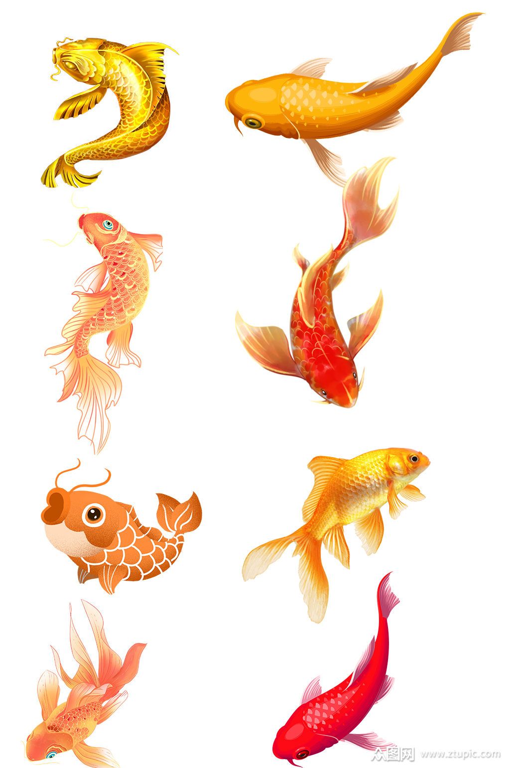 免扣鲤鱼锦鲤png