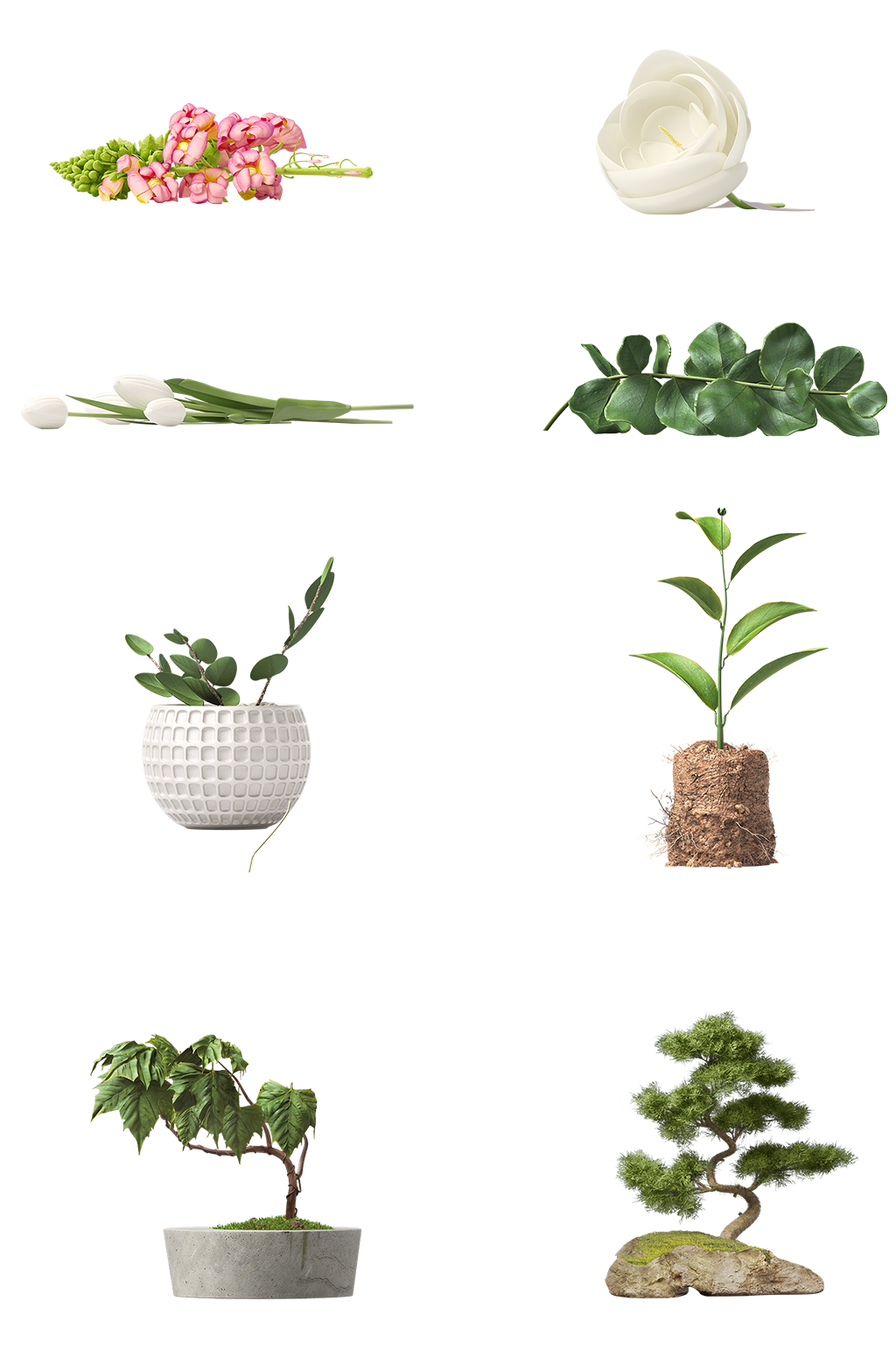 绿植花盆免扣png素材