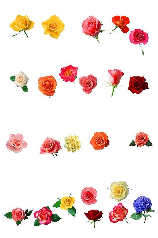 唯美情人节表白粉玫瑰花束png素材-众图网