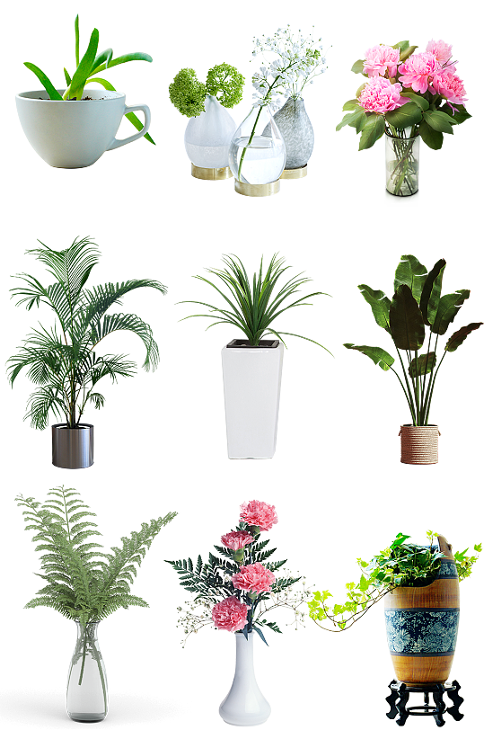 植物装饰盆栽图片-植物装饰盆栽素材下载-众图网