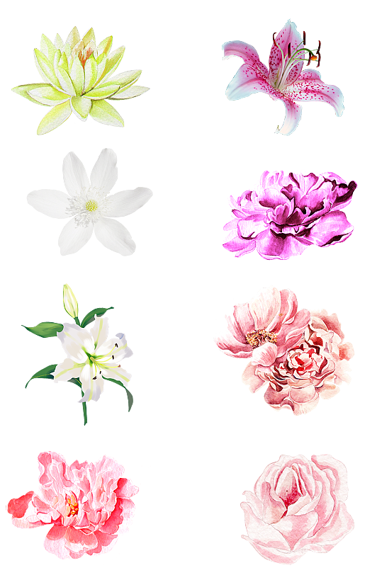 手绘花朵花束鲜花情人节png素材