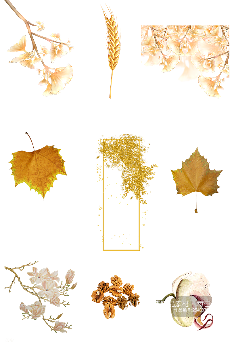 秋天枫叶花朵金色海报素材png素材
