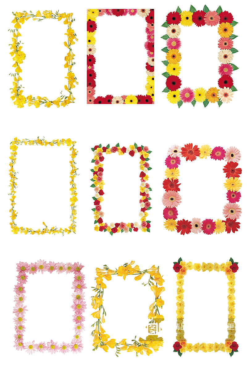 时尚花卉对话框鲜花相框相册免抠元素png素材