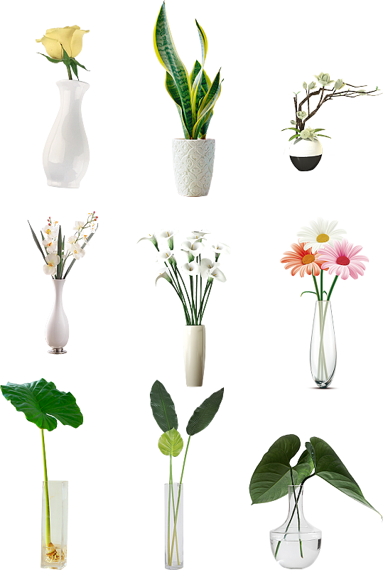 花瓶鲜花盆栽绿植桌面装饰免扣png