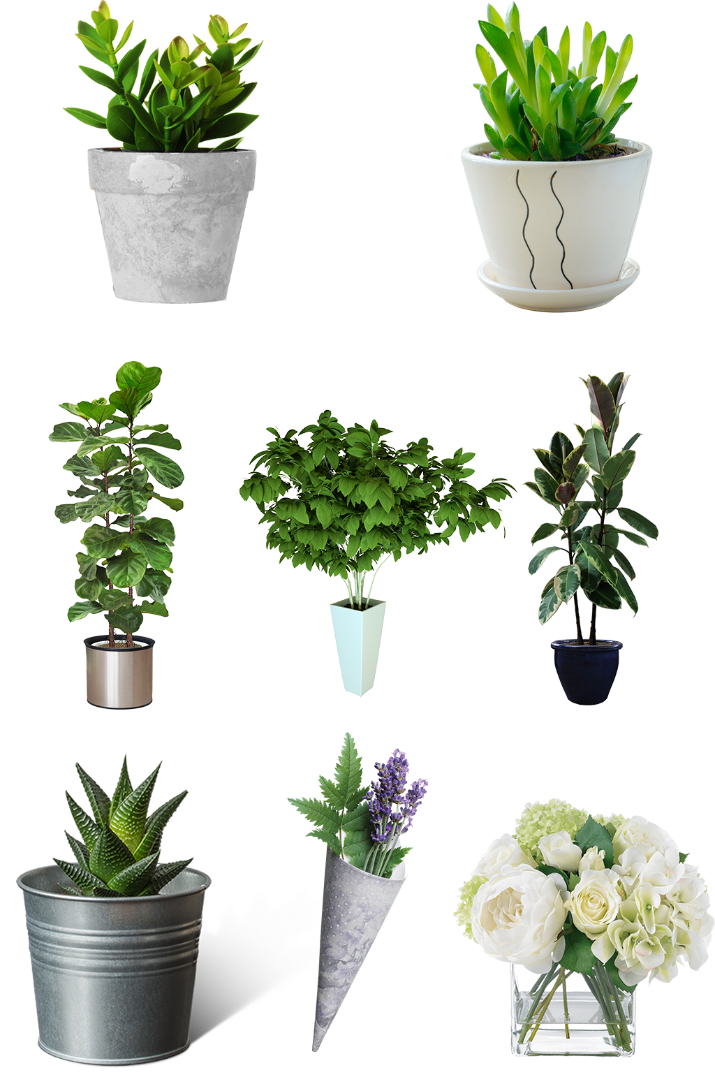 盆栽绿植花瓶花盆免扣png素材