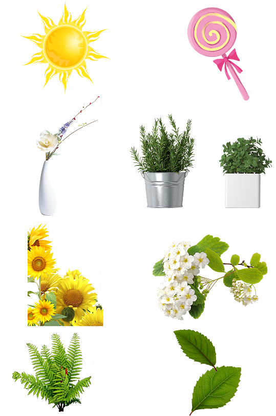 太阳绿植绿色鲜花树叶装饰花瓶盆栽免扣